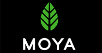 Moya