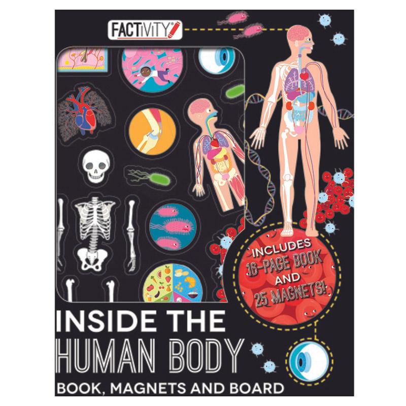 Factivity - Human Body Magnetic Folder